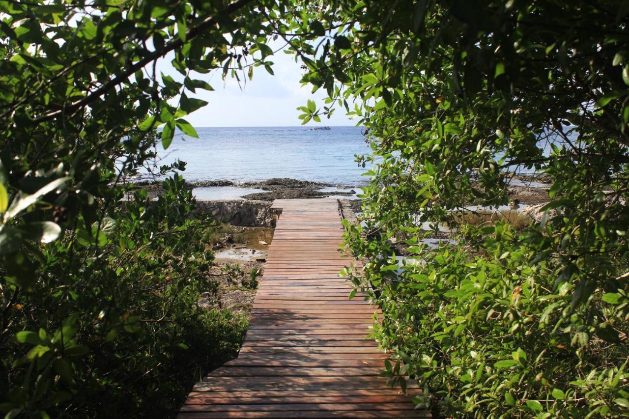 Confortable Casa En Cozumel, Condominio Con Vista Al Mar # 10 מראה חיצוני תמונה